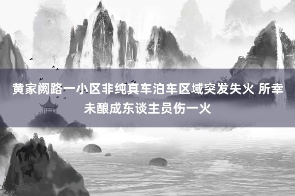 黄家阙路一小区非纯真车泊车区域突发失火 所幸未酿成东谈主员伤一火