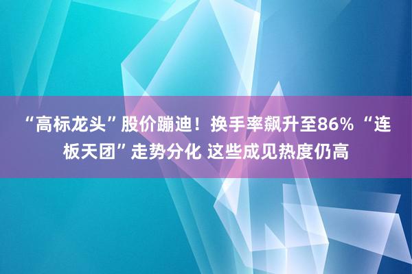 “高标龙头”股价蹦迪！换手率飙升至86% “连板天团”走势分化 这些成见热度仍高