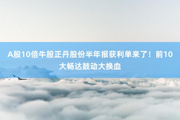 A股10倍牛股正丹股份半年报获利单来了！前10大畅达鼓动大换血