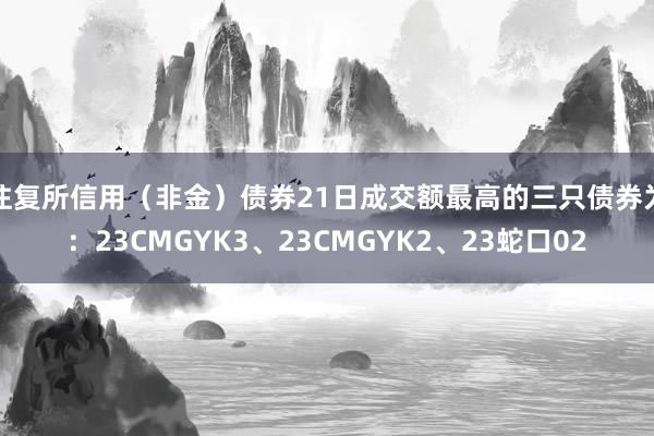 往复所信用（非金）债券21日成交额最高的三只债券为：23CMGYK3、23CMGYK2、23蛇口02