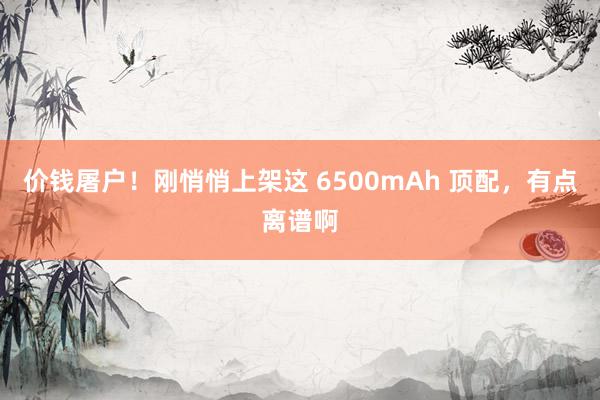 价钱屠户！刚悄悄上架这 6500mAh 顶配，有点离谱啊