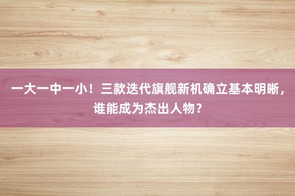 一大一中一小！三款迭代旗舰新机确立基本明晰，谁能成为杰出人物？